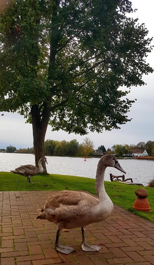 Ferienanlage Pritzerbe Esterno foto